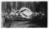 Drawing - Paul Matt - Boeing 307