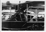 Drawing - Paul Matt - Curtis MF-6K